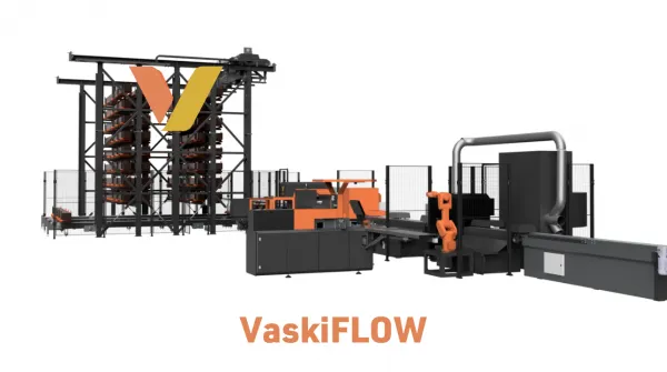 VaskiFLOW_lines